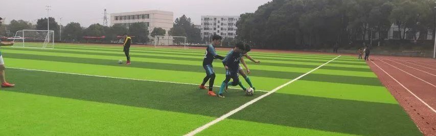 K1体育- 斯图加特主场草皮升级工程遭遇暴雨延期验收  