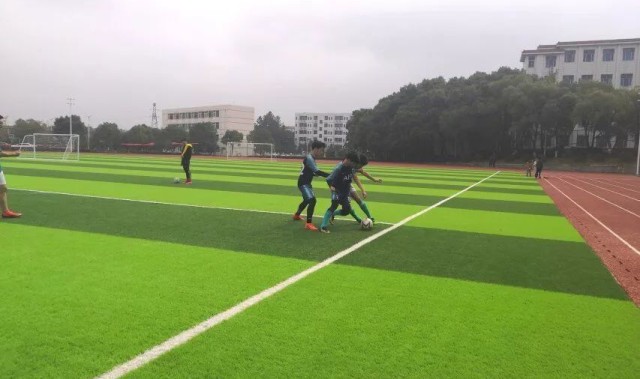 K1体育- 斯图加特主场草皮升级工程遭遇暴雨延期验收  