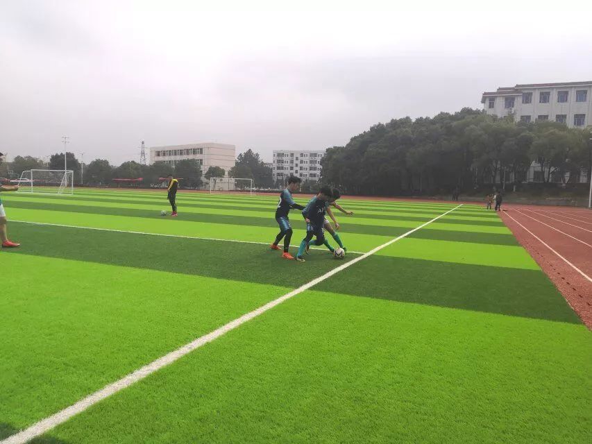  斯图加特主场草皮升级工程遭遇暴雨延期验收  
